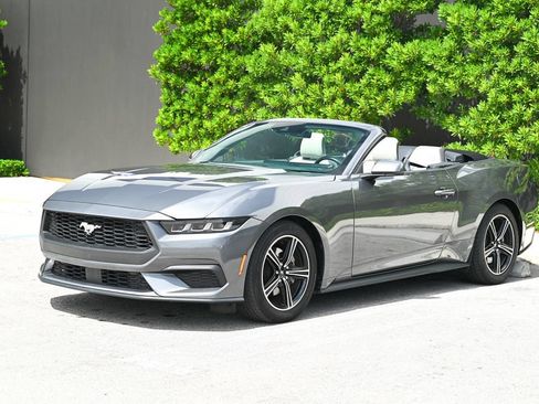 Used 2024 Ford Mustang Premium RWD image 1