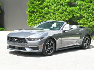 Used 2024 Ford Mustang Premium RWD video 1
