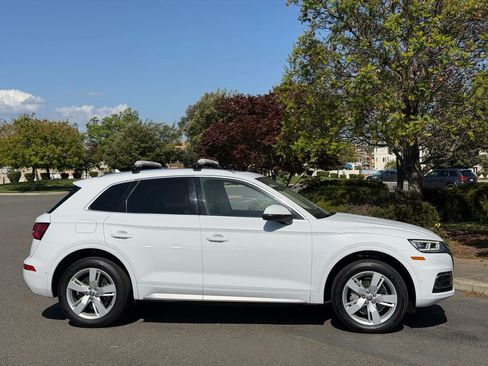 Used 2019 Audi Q5 Prestige w/ Prestige Package AWD/4WD image 6