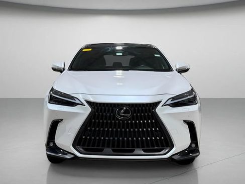 Used 2025 Lexus NX 350h AWD w/ Cold Area Package image 7