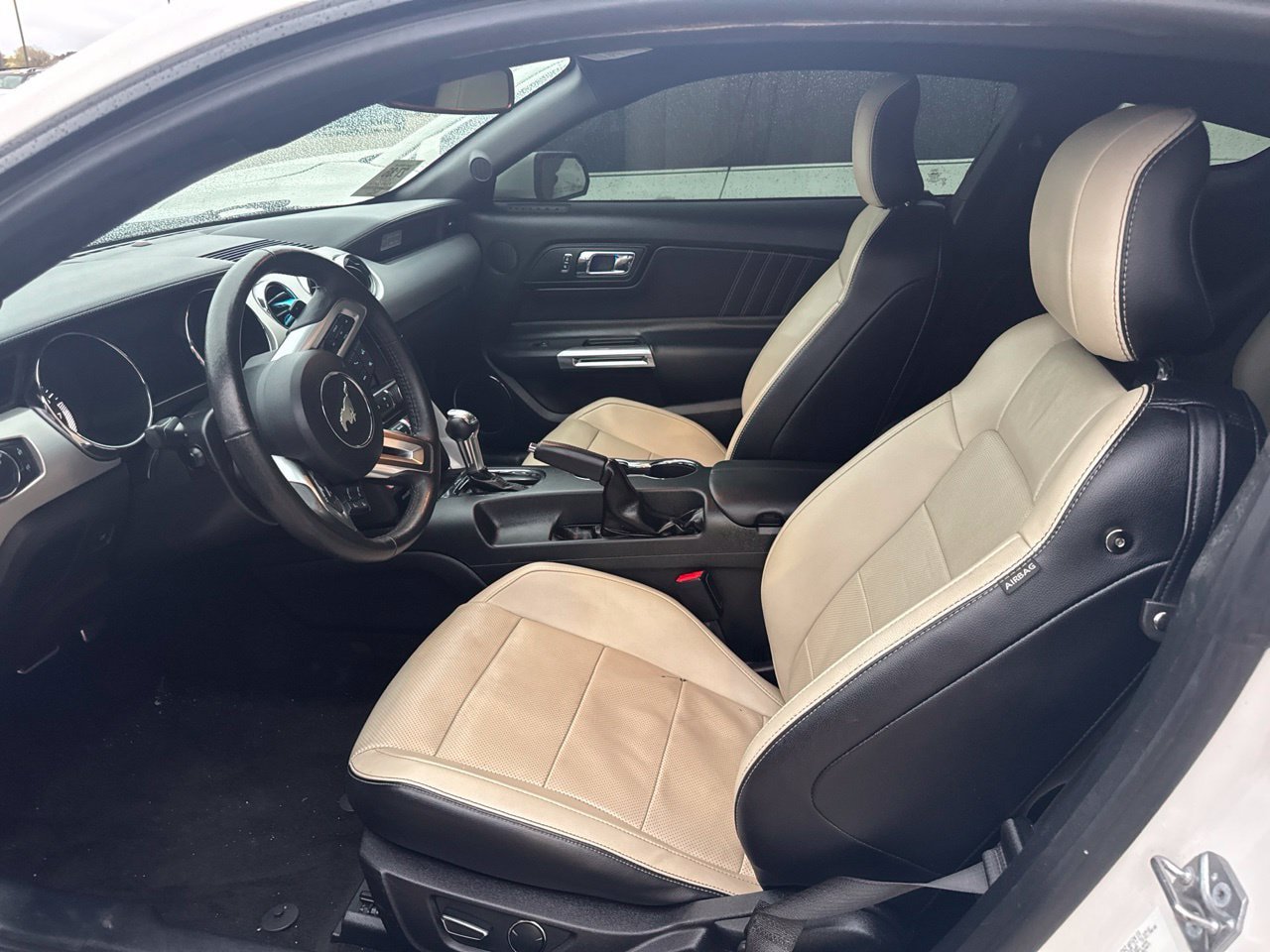 Used 2017 Ford Mustang GT Premium w/ Equipment Group 401A RWD image 8