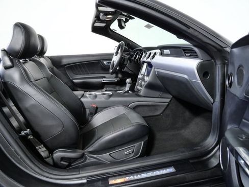 Used 2019 Ford Mustang Premium RWD image 12
