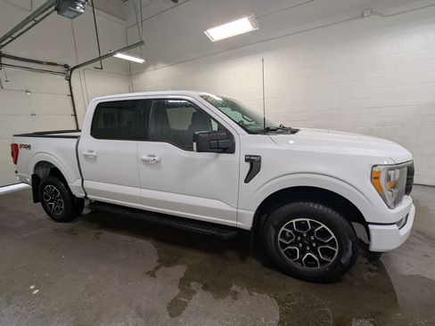 Certified 2023 Ford F150 XLT w/ Equipment Group 302A High image 2