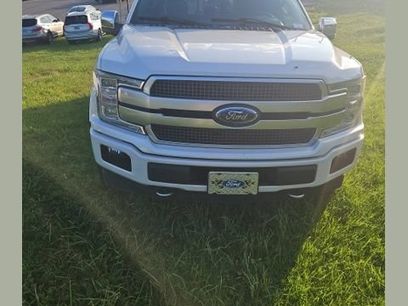 Used 2019 Ford F150 Platinum w/ Equipment Group 701A Luxury