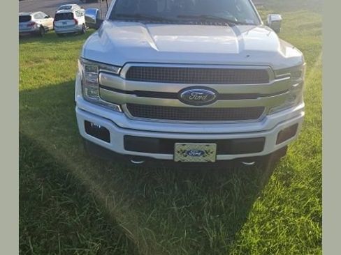 Used 2019 Ford F150 Platinum w/ Equipment Group 701A Luxury AWD/4WD image 1