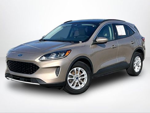 Used 2020 Ford Escape SE AWD/4WD image 2