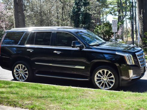 Used 2019 Cadillac Escalade Luxury image 11