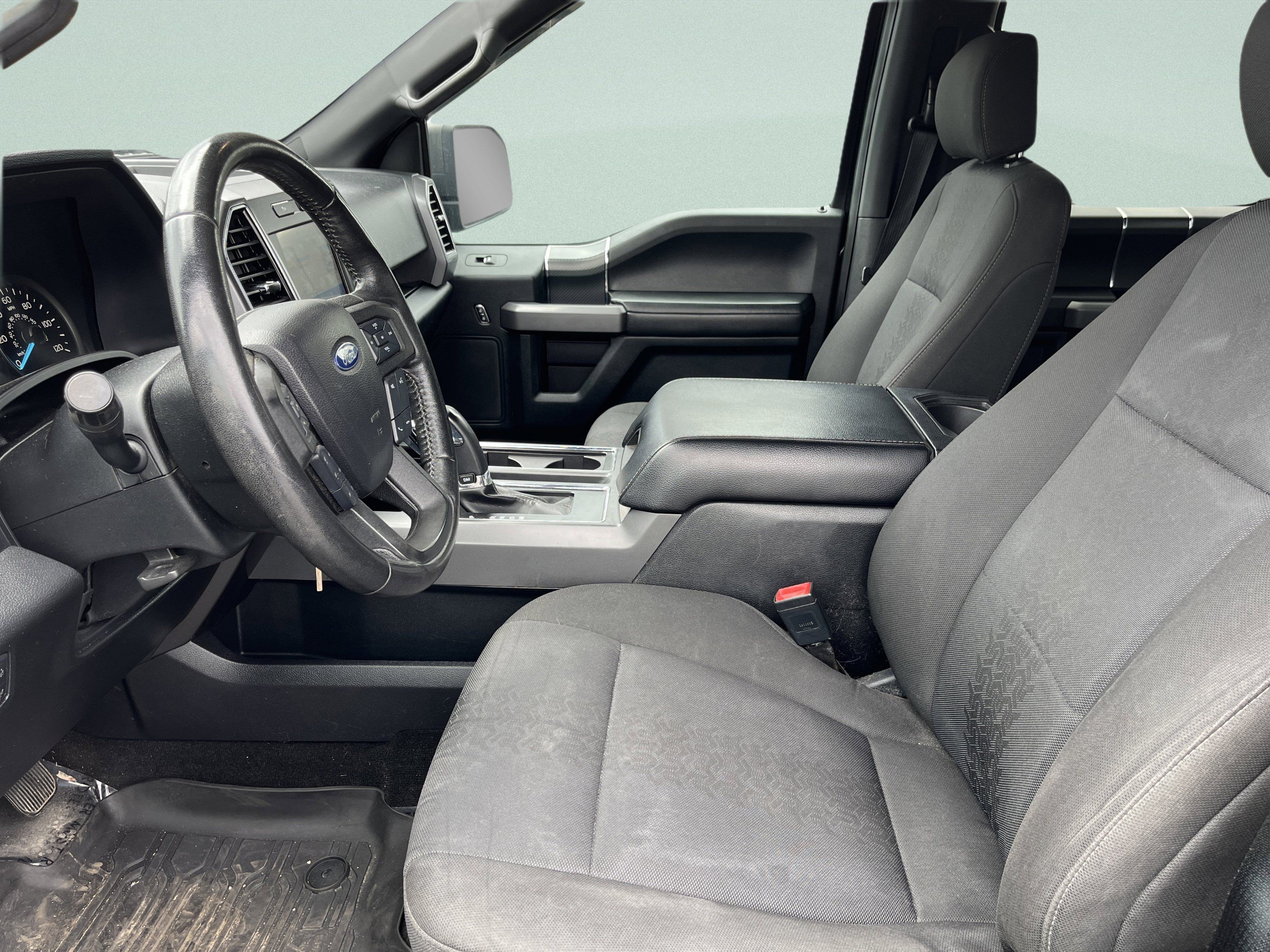 Used 2019 Ford F150 XLT w/ Equipment Group 302A Luxury AWD/4WD image 13