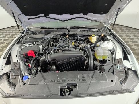 New 2025 Ford Mustang Premium image 3