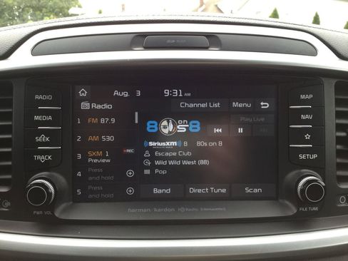 Used 2019 Kia Sorento SX image 13