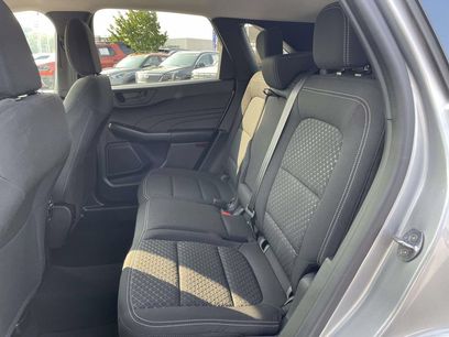 Used 2024 Ford Escape Active w/ Tech Pack #1