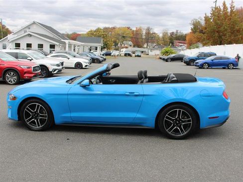 Used 2023 Ford Mustang Premium image 5
