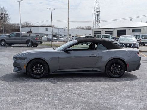 New 2025 Ford Mustang Convertible w/ Mustang Nite Pony Package RWD image 5