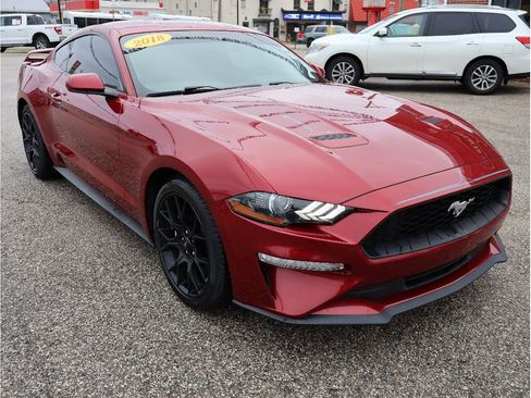 Used 2018 Ford Mustang Coupe w/ Ecoboost Performance Package image 9