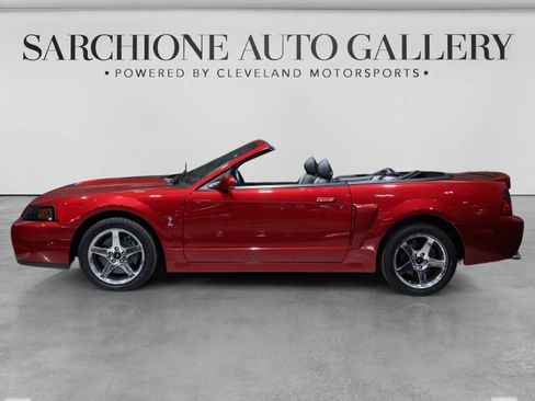Used 2003 Ford Mustang Cobra RWD image 12