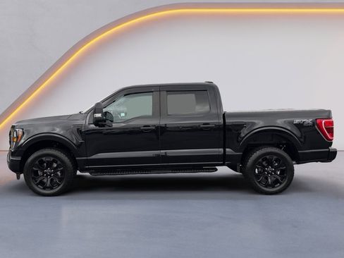 Used 2023 Ford F150 XL w/ STX Black Appearance Package image 6