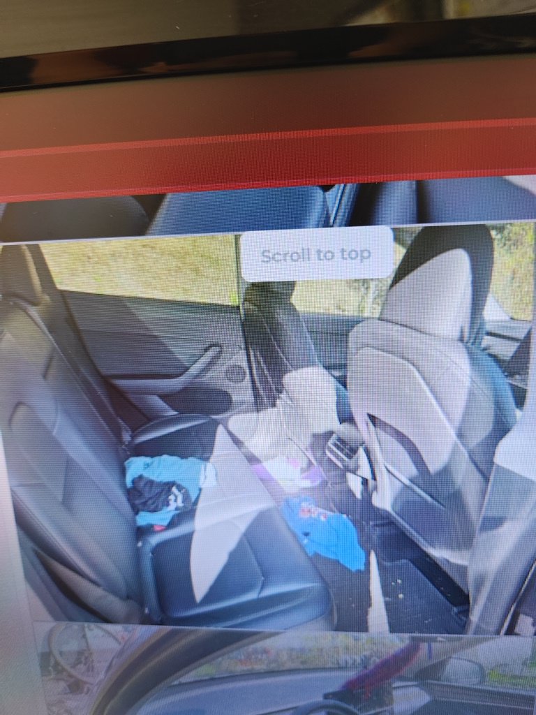 Used 2024 Tesla Model Y Performance AWD/4WD image 13
