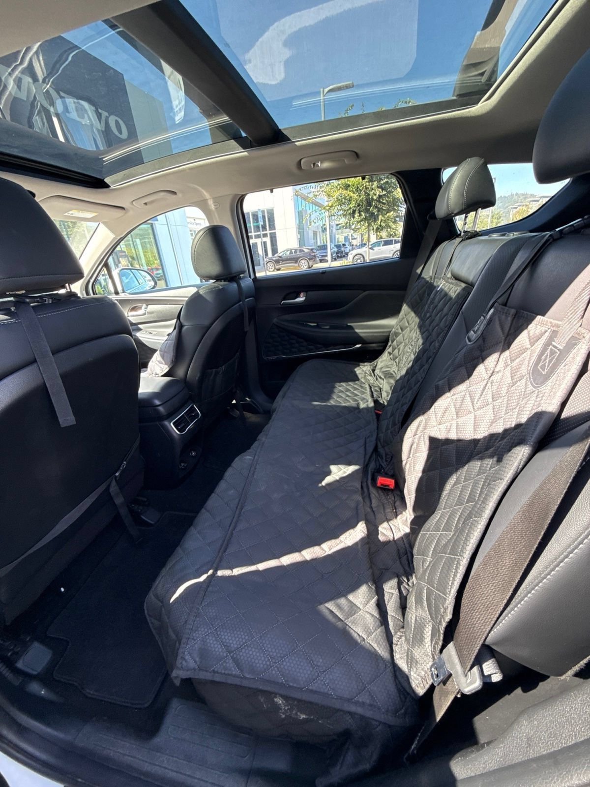 Used 2023 Hyundai Santa Fe SEL Premium AWD/4WD image 6