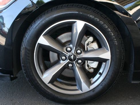 Used 2015 Ford Mustang Premium w/ Equipment Group 201A RWD image 10