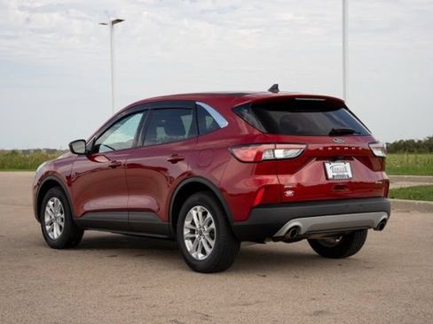Used 2020 Ford Escape SE AWD/4WD image 5