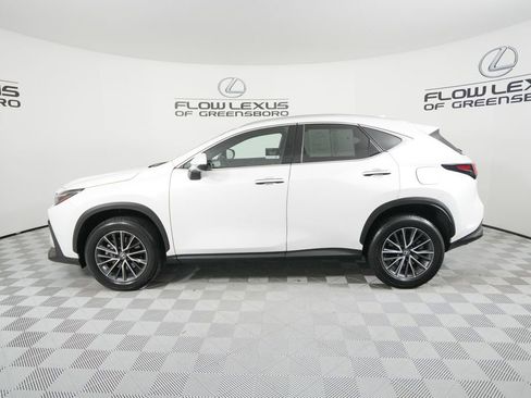 Certified 2024 Lexus NX 350 AWD image 4