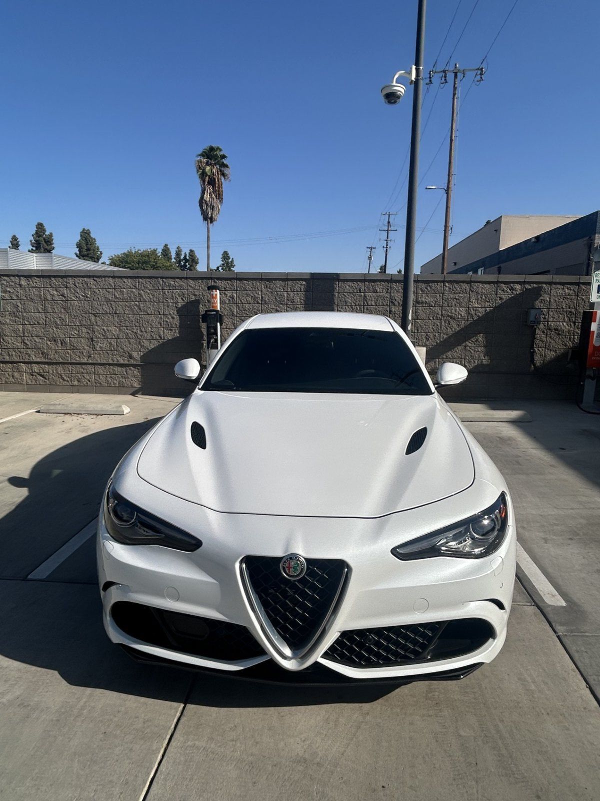 Used 2019 Alfa Romeo Giulia Quadrifoglio w/ Driver Assist Dynamic Package RWD image 2
