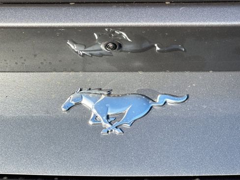 New 2026 Ford Mustang Premium image 25