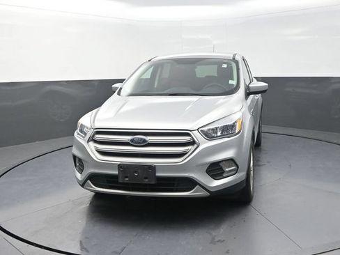 Used 2019 Ford Escape SE AWD/4WD image 2