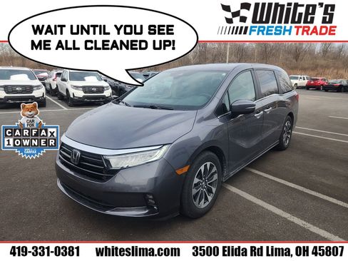 Used 2024 Honda Odyssey EX-L image 1