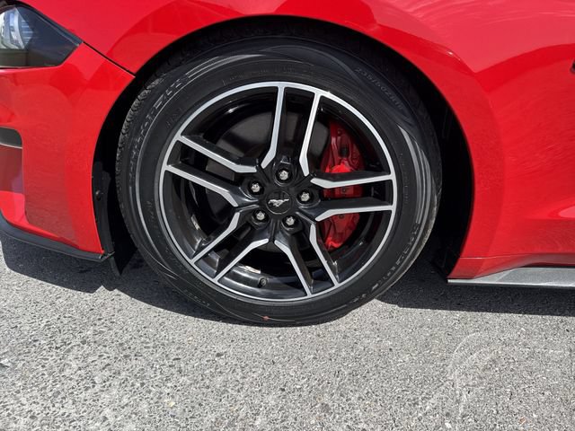 Used 2022 Ford Mustang GT Premium w/ Equipment Group 401A RWD image 10