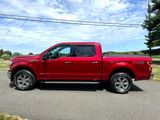 Used 2019 Ford F150 XLT w/ Equipment Group 302A Luxury image 3