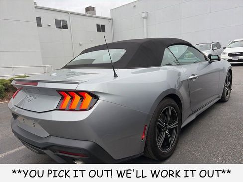 Used 2025 Ford Mustang Premium RWD image 6