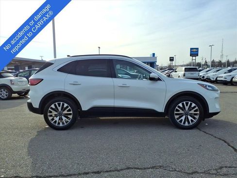 Used 2020 Ford Escape Titanium image 4