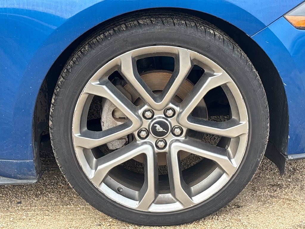 Certified 2018 Ford Mustang Premium RWD image 9