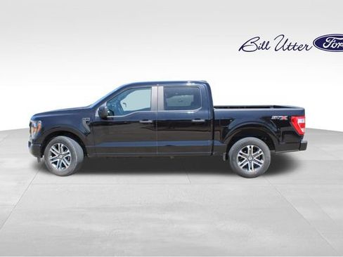 Used 2023 Ford F150 XL w/ STX Appearance Package RWD image 8