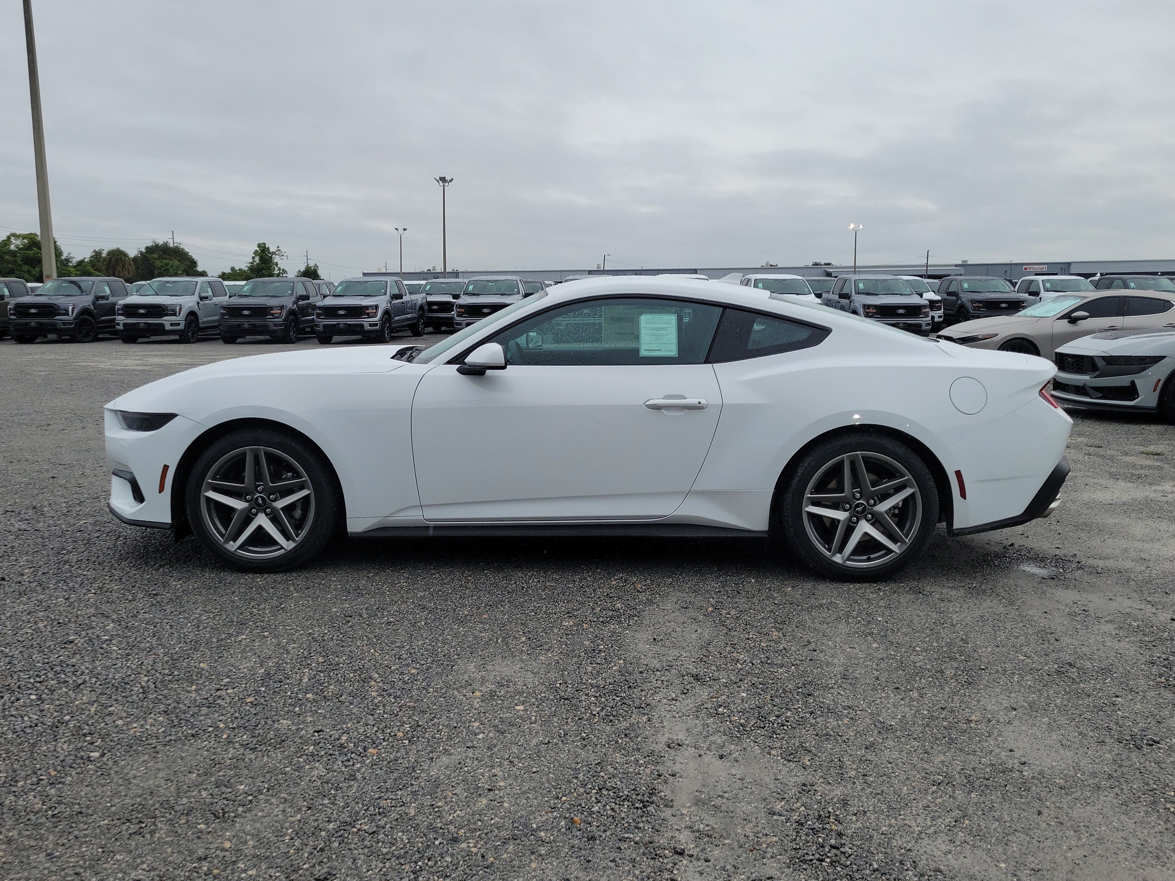 New 2026 Ford Mustang Coupe RWD image 7
