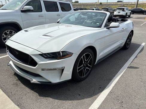 Used 2022 Ford Mustang Premium RWD image 1