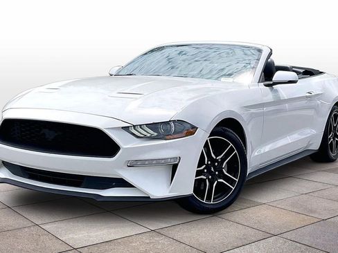 Used 2019 Ford Mustang Premium RWD image 11