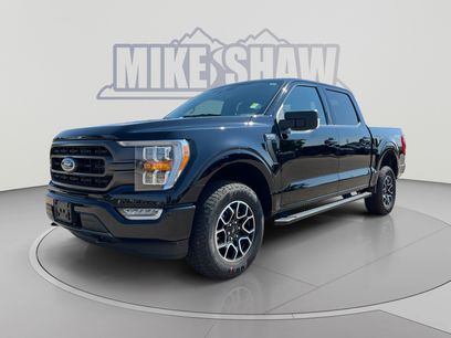 Used 2023 Ford F150 XLT w/ Equipment Group 302A High