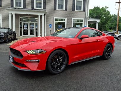 Certified 2019 Ford Mustang Premium w/ Equipment Group 201A