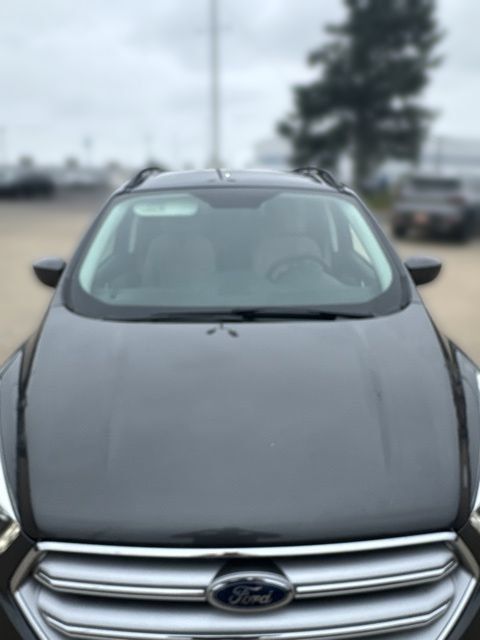 Used 2017 Ford Escape SE w/ Equipment Group 201A AWD/4WD image 2
