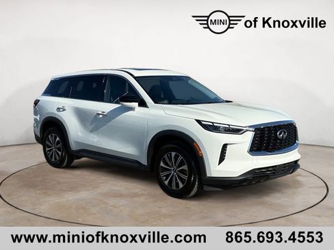 Used 2024 INFINITI QX60 Pure image 1