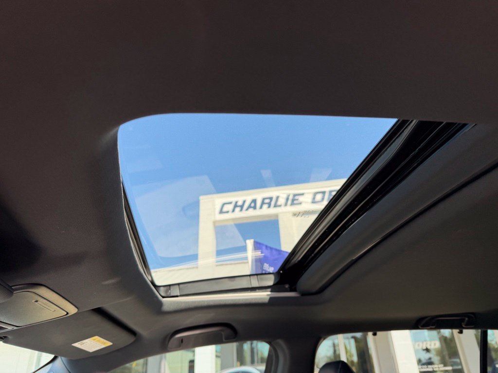 Used 2019 Honda Passport Elite image 11