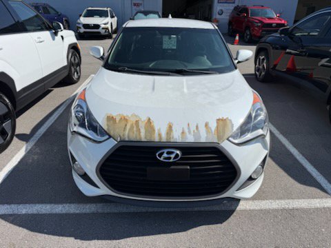 Used 2017 Hyundai Veloster Turbo FWD image 4
