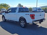 Certified 2021 Ford F150 XLT w/ Equipment Group 302A High image 4