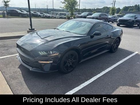 Used 2019 Ford Mustang Coupe w/ Equipment Group 101A RWD image 3