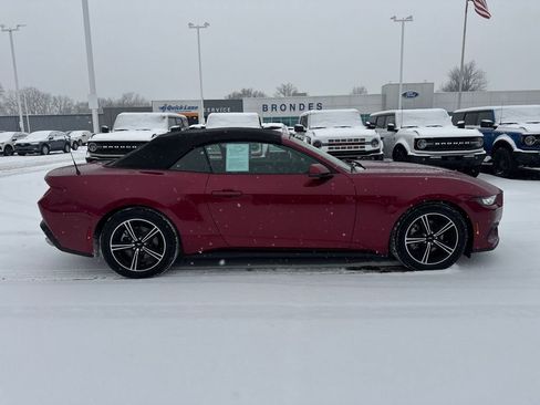 Used 2025 Ford Mustang Premium image 6