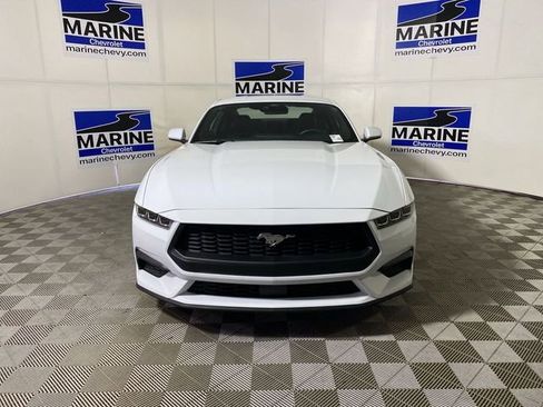 Used 2024 Ford Mustang Premium RWD image 12