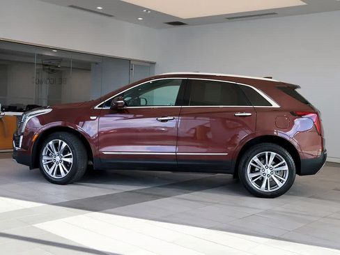 Used 2023 Cadillac XT5 Premium Luxury AWD/4WD image 2