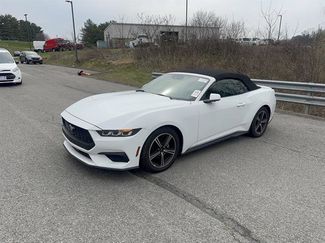 Used 2024 Ford Mustang Premium video 2